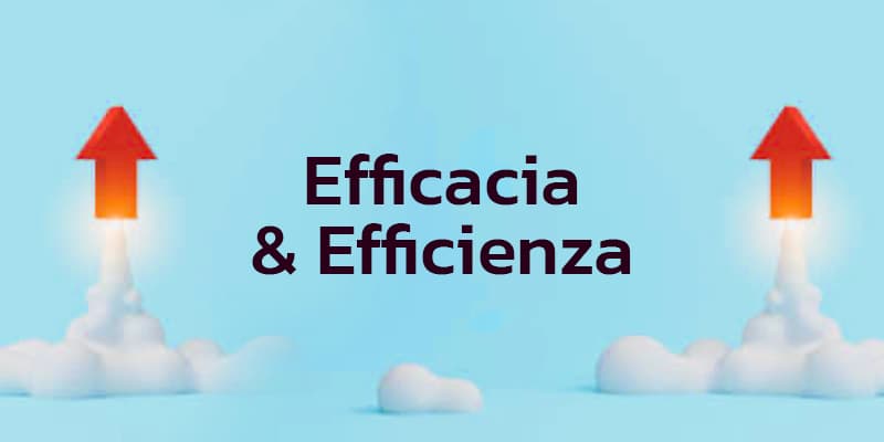 Efficacia ed efficienza