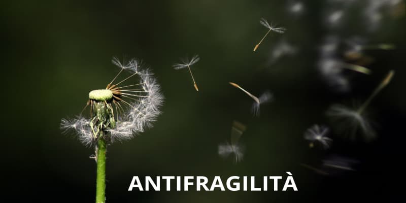 Antifragilità