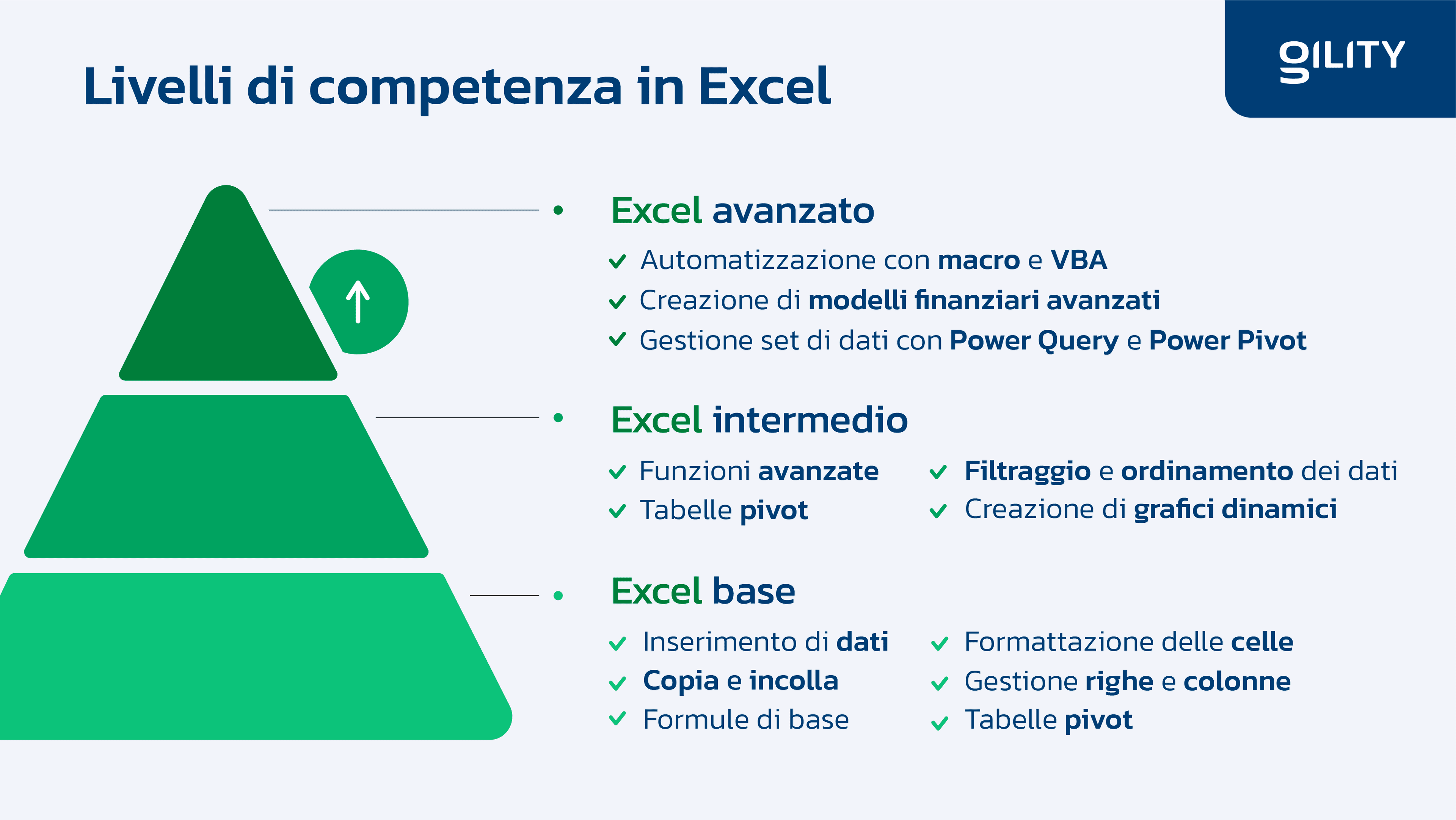 Infografica sui diversi livelli di competenze Excel