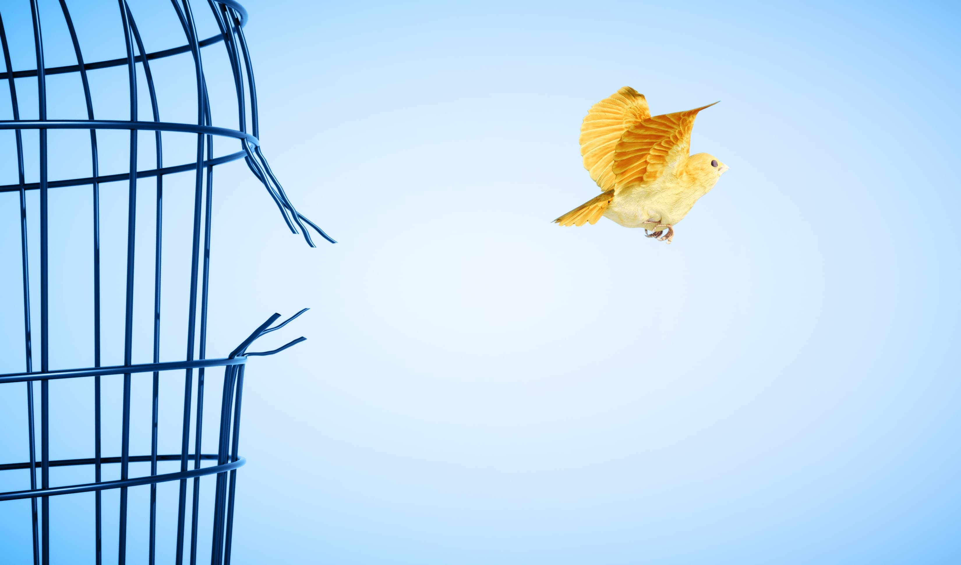 Formazione aziendale per la talent attraction e retention talenti